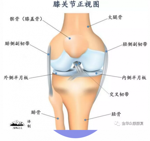 爬山、練太極會(huì)導(dǎo)致膝關(guān)節(jié)疼痛嗎？